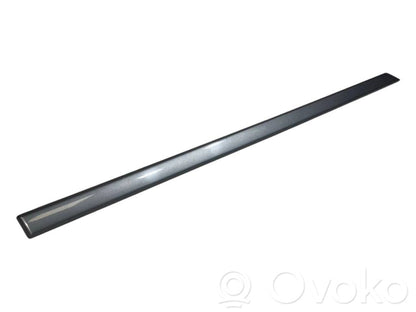 Aizmugurē durvju dekoratīvā apdare (moldings)