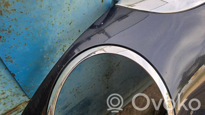 Dzinēja pārsegs (vāks)