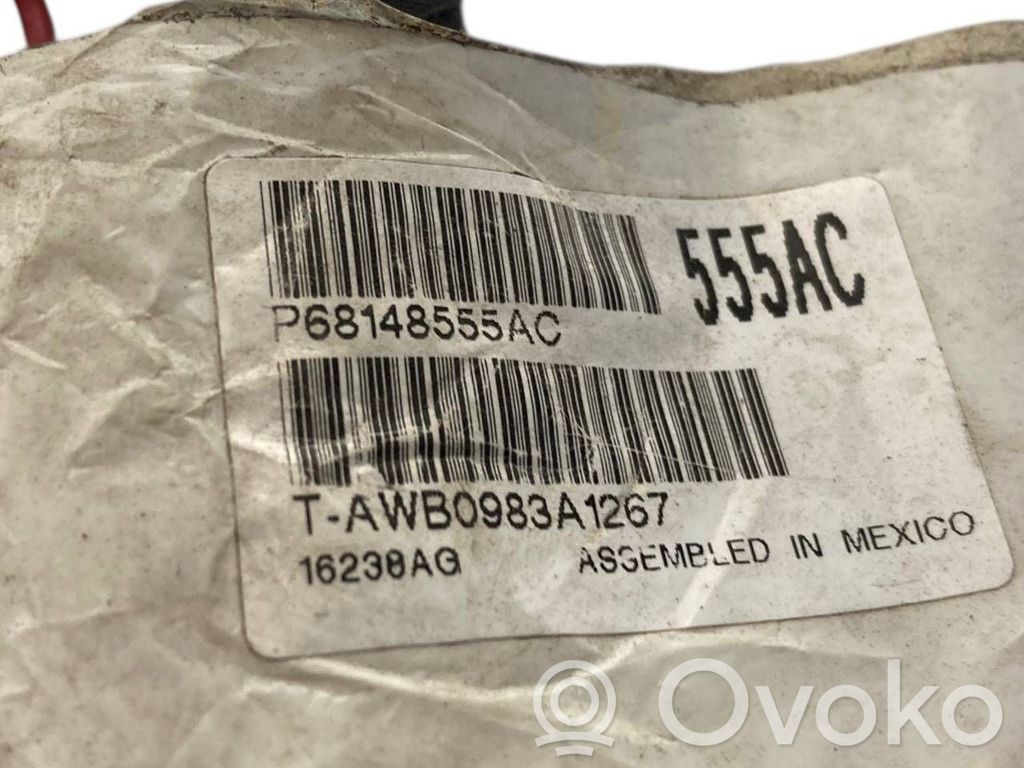 Plusa vads (akumulatora)