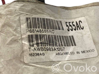 Plusa vads (akumulatora)