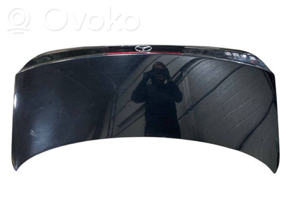 Aizmugurējais pārsegs (bagāžnieks)