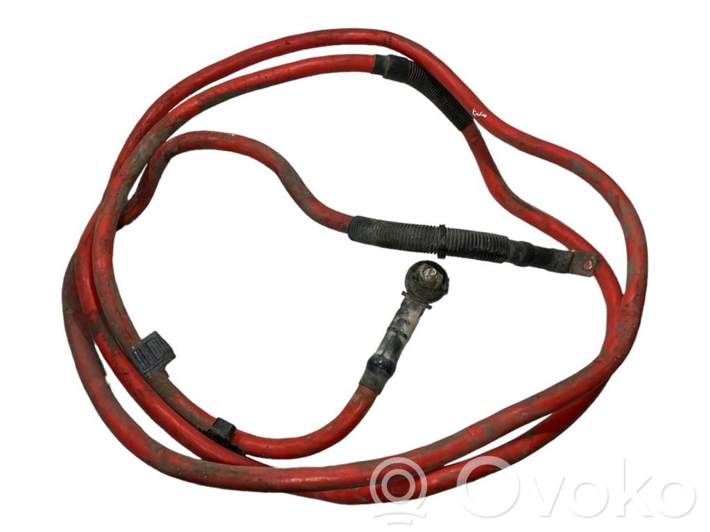 Plusa vads (akumulatora)