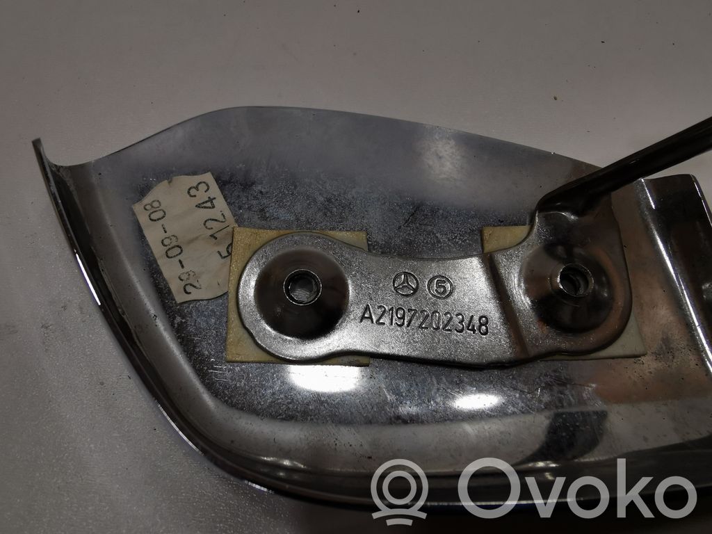 Cita veida priekšpusē durvju dekoratīvās apdares detaļa