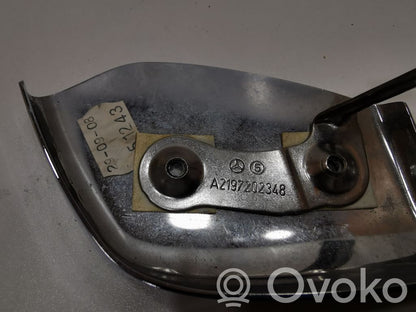 Cita veida priekšpusē durvju dekoratīvās apdares detaļa