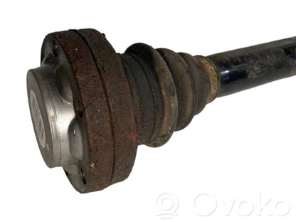 Aizmugurējā pusass