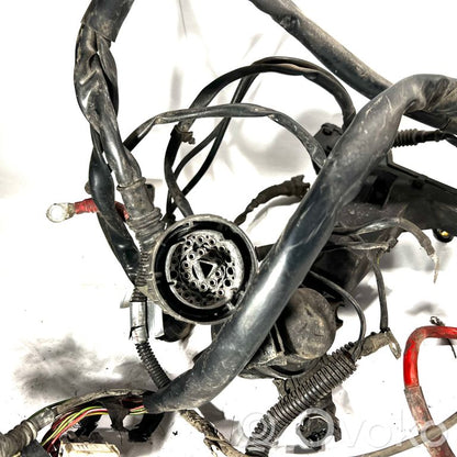 Жгут проводов двигателя