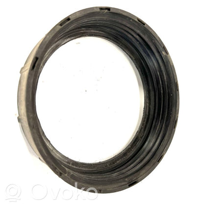 Fuel pump nut (in the fuel tank)