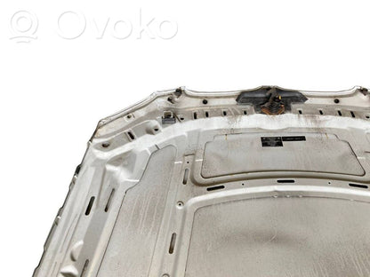 Dzinēja pārsegs (vāks)