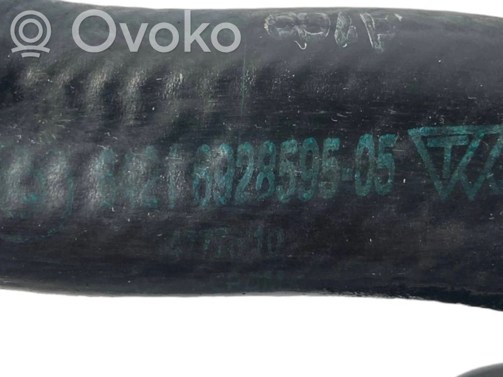 Caurulīte (-es) / šļūtene (-es)