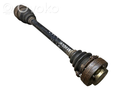 Aizmugurējā pusass