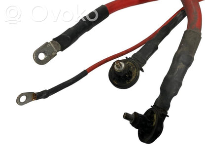 Plusa vads (akumulatora)