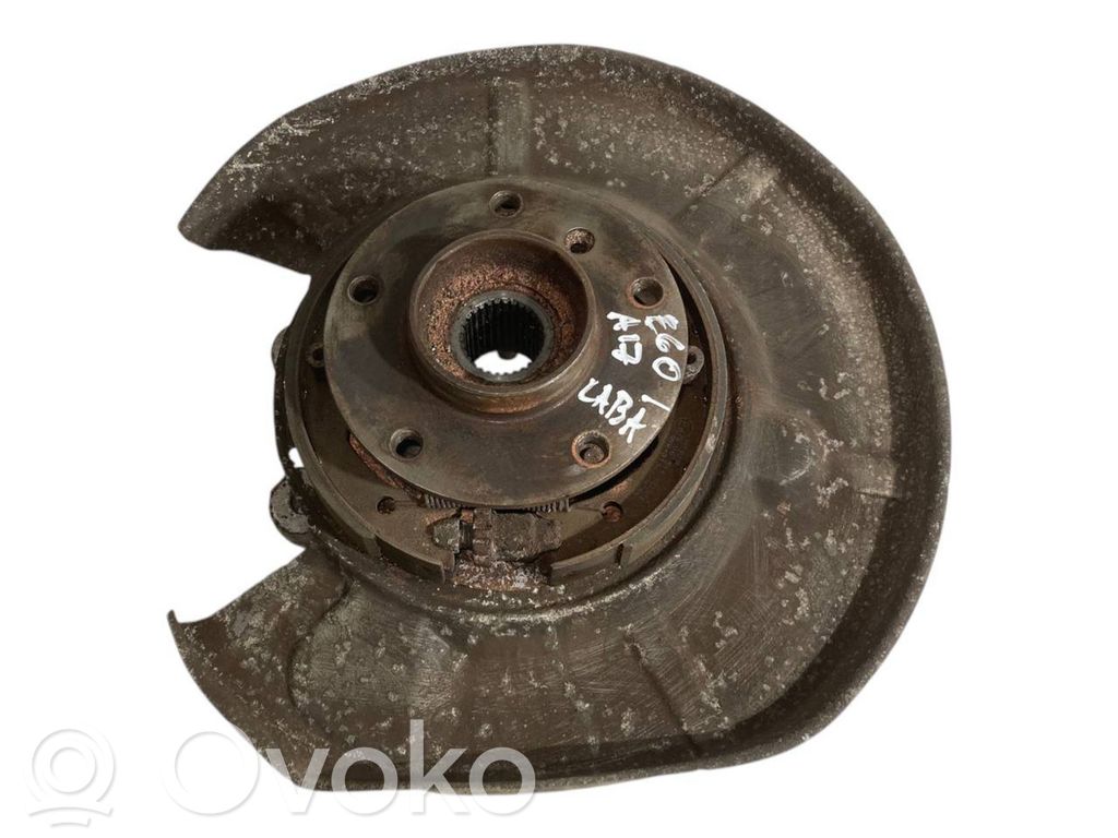 Rear wheel hub shaft joint (stupica, capfa)