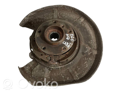 Rear wheel hub shaft joint (stupica, capfa)