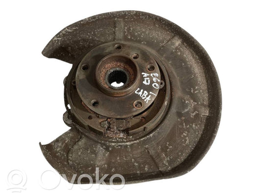 Rear wheel hub shaft joint (stupica, capfa)