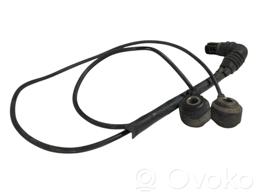 Detonācijas sensors
