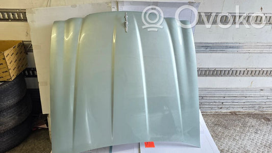 Dzinēja pārsegs (vāks)