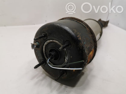 Front air shock absorber (pneumatic suspension)