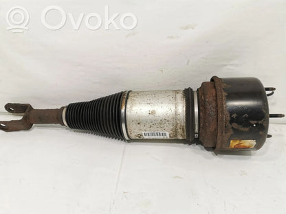 Передняя пневматическая (воздушная) подушка с амортизатором