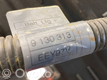 Plusa vadu savienošanas mezgls