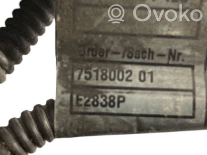 Engine wiring harness