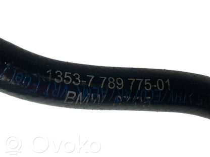 Caurule (-es) / šļūtene (-es)