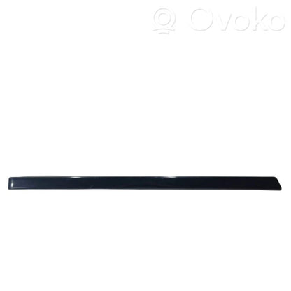 Aizmugurē durvju dekoratīvā apdare (moldings)