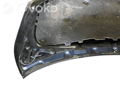 Dzinēja pārsegs (vāks)