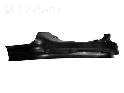 Rear door sill trim (inner)