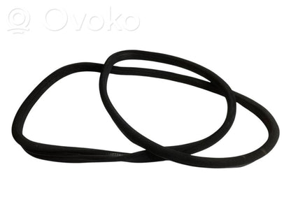 Front trim rubber (in the body)