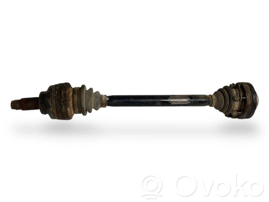 Aizmugurējā pusass