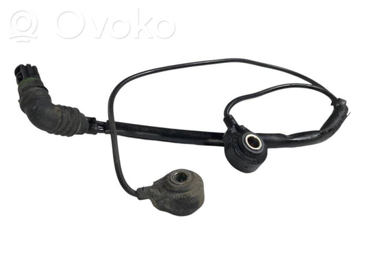 Detonācijas sensors
