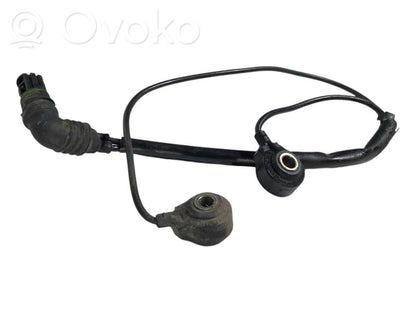Detonācijas sensors