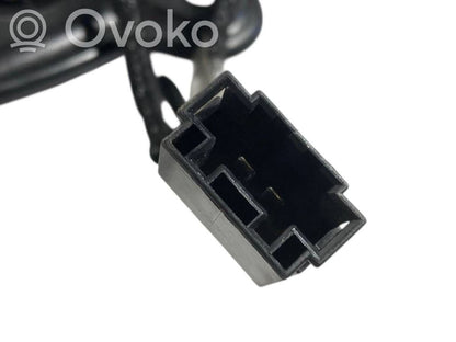Skaļrunis (-i) pakaļējās durvīs
