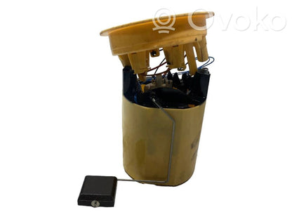 Fuel pump (in the fuel tank)