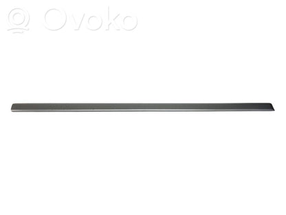 Front door decorative trim (molding)