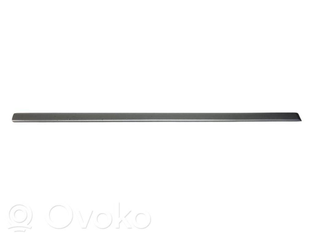 Priekšpusē durvju dekoratīvā apdare (moldings)