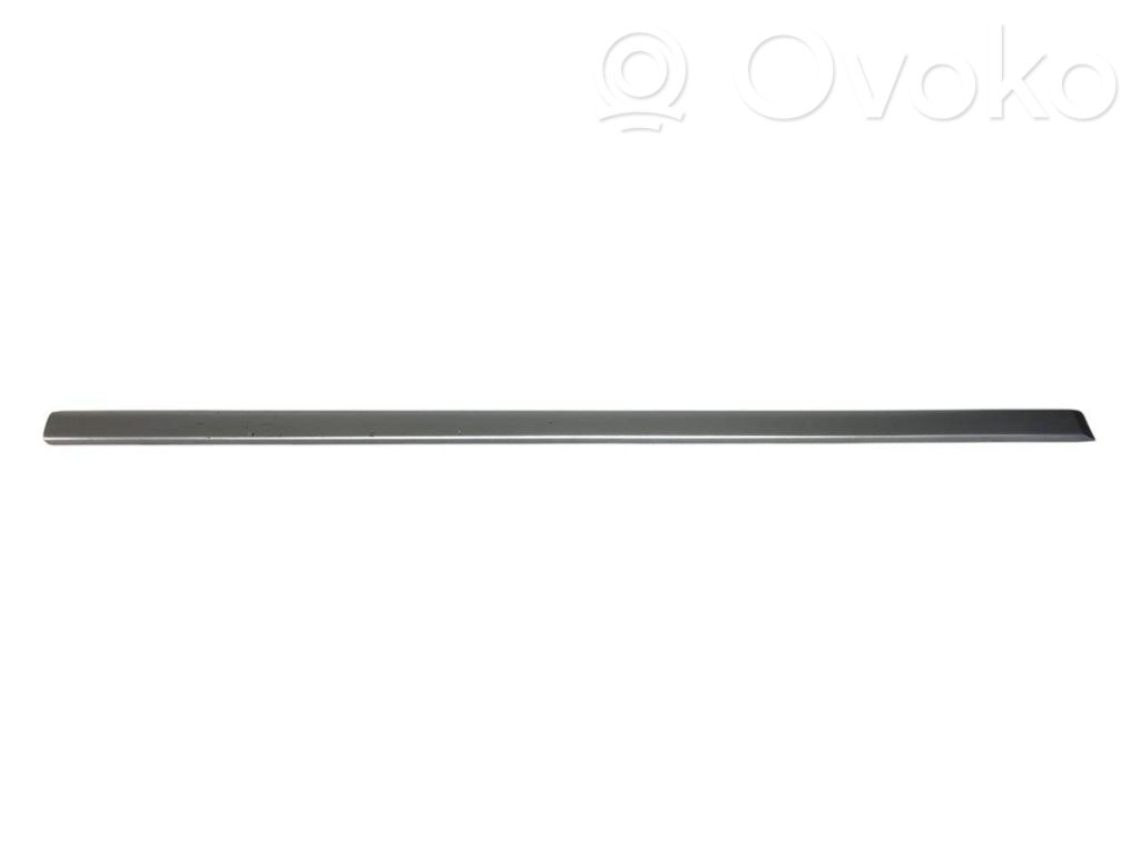 Priekšpusē durvju dekoratīvā apdare (moldings)
