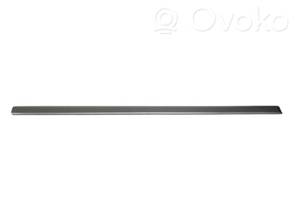Priekšpusē durvju dekoratīvā apdare (moldings)