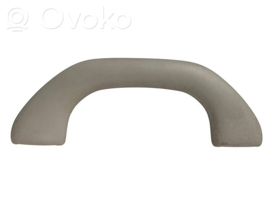 Priekšējais rokturis