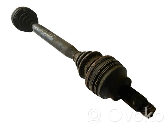 Aizmugurējā pusass