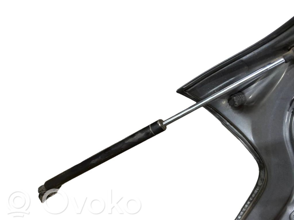 Aizmugurējais pārsegs (bagāžnieks)