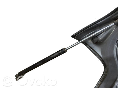 Aizmugurējais pārsegs (bagāžnieks)