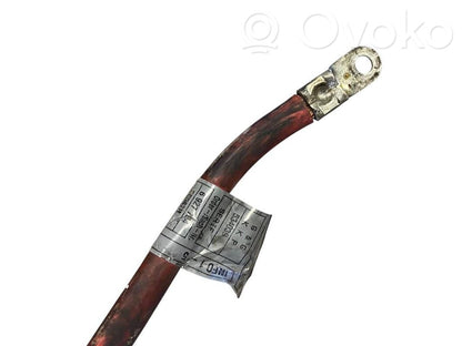 Plusa vads (akumulatora)