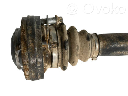 Aizmugurējā pusass