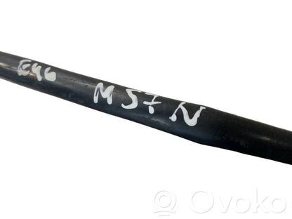 Caurulīte (-es) / šļūtene (-es)