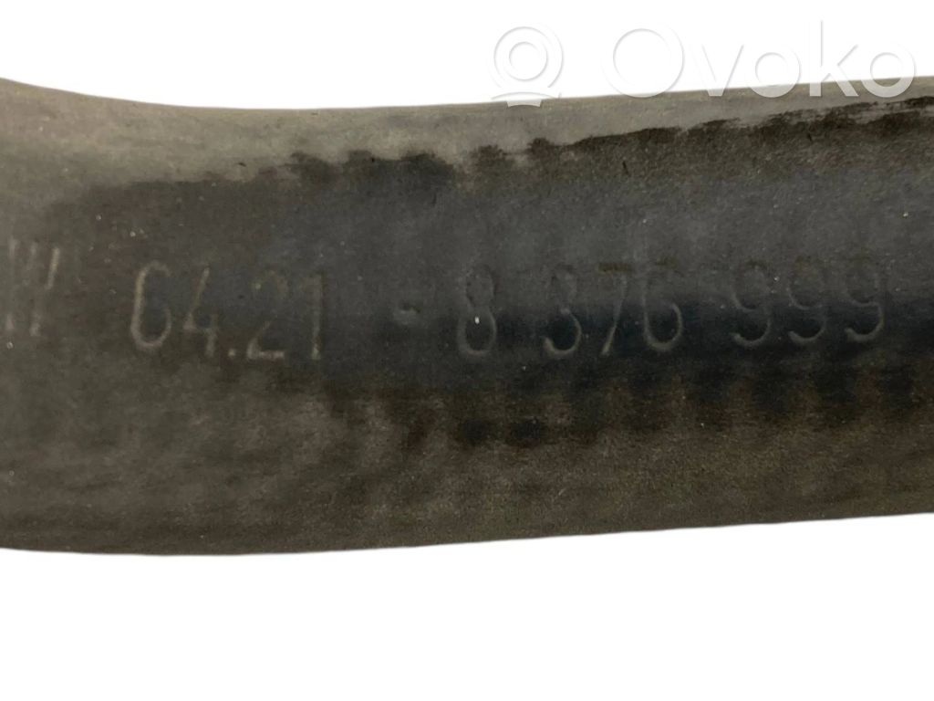 Caurulīte (-es) / šļūtene (-es)