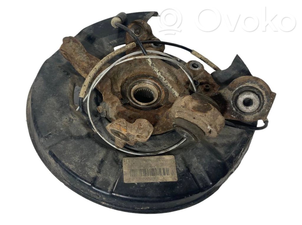 Rear wheel hub shaft joint (stupica, capfa)