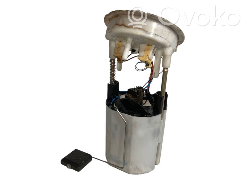 Fuel pump (in the fuel tank)