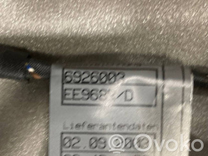 Aizmugurējās durvis