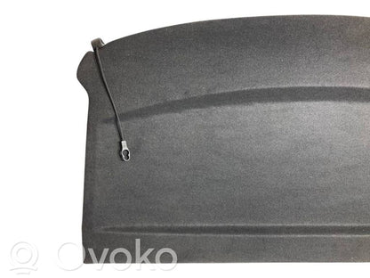 Aizmugurējā palodze